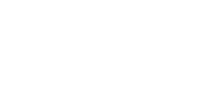 logo light